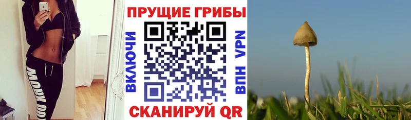 Псилоцибиновые грибы ЛСД  Ахтубинск 
