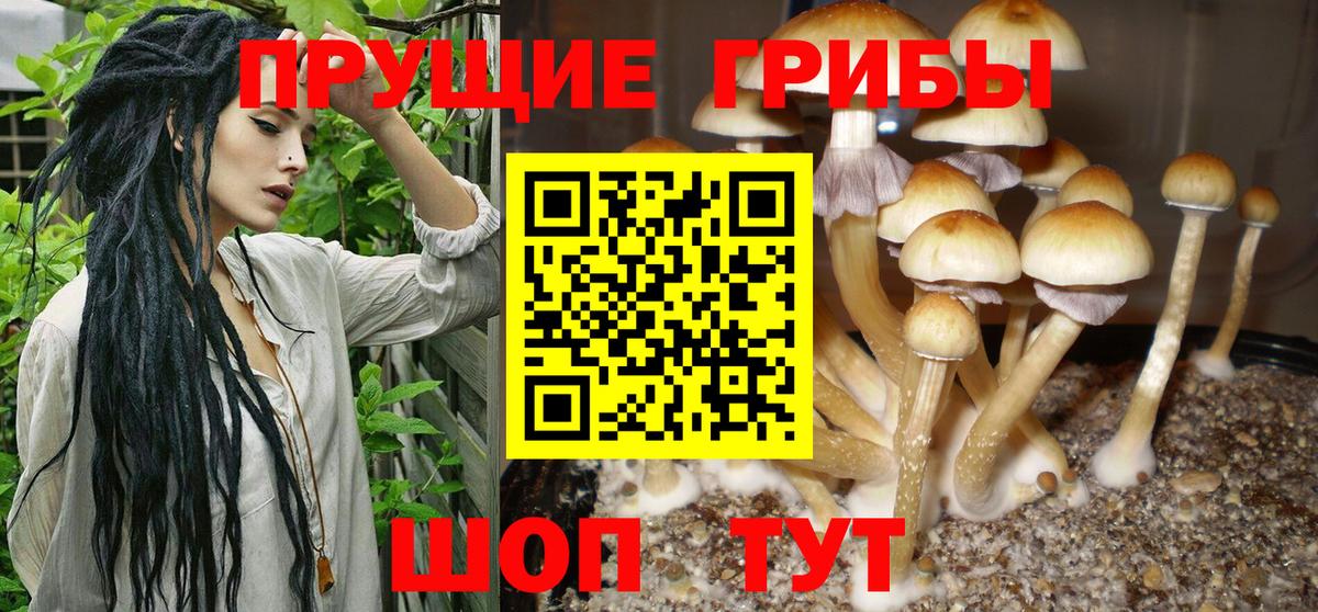 Галлюциногенные грибы мицелий  Галлюциногенные грибы прущие грибы  Ахтубинск  Вход с VPN 