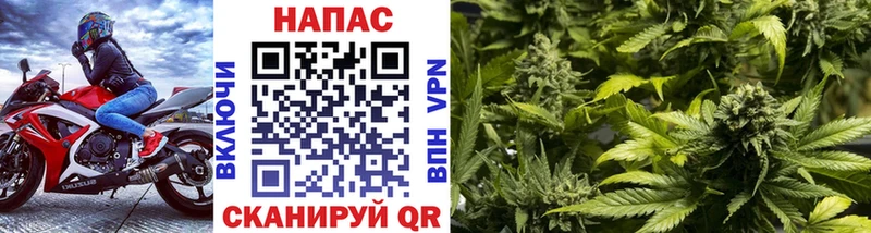 Бошки Шишки план  купить наркоту  Ахтубинск 